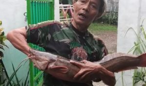 Lele Raksasa