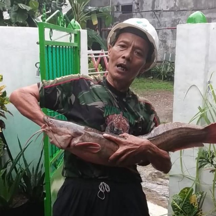 Lele Raksasa